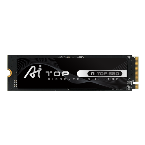 Gigabyte AI TOP SSD 2TB M.2 NVMe Gen4 7000/5900 MBps  219000 TBW!